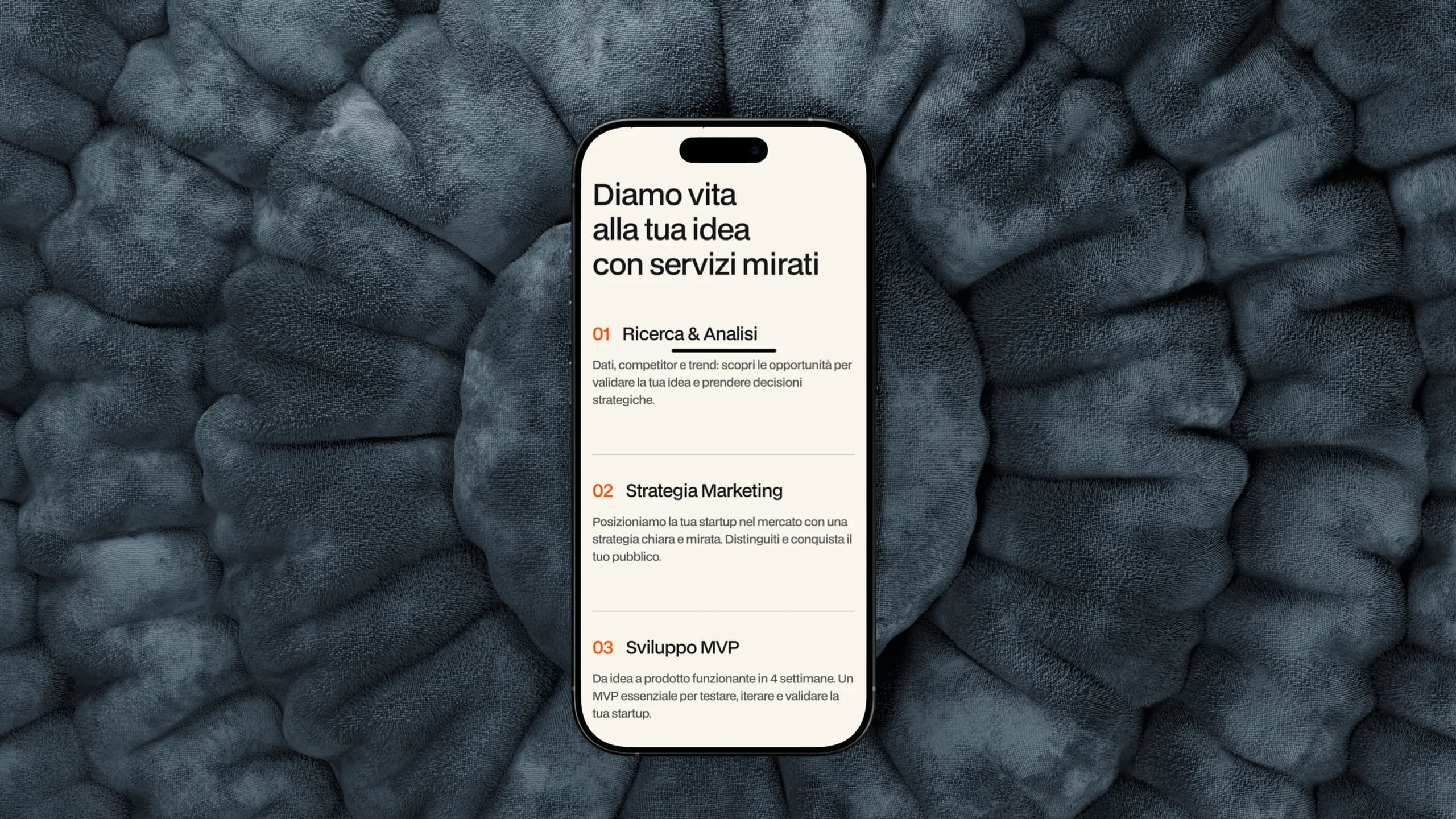 Portfolio